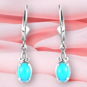 🔥PRICE DROP🔥NWT AMERICAN NATURAL SLEEPING BEAUTY TURQUOISE .925 EARRINGS